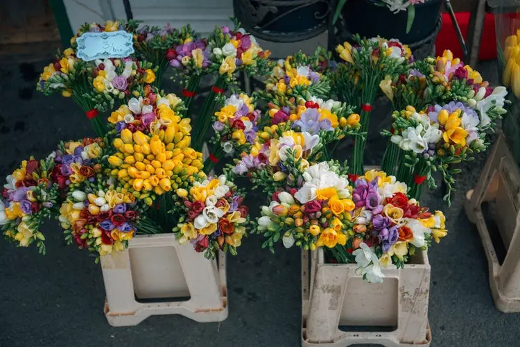 bouquet of flowers on pots