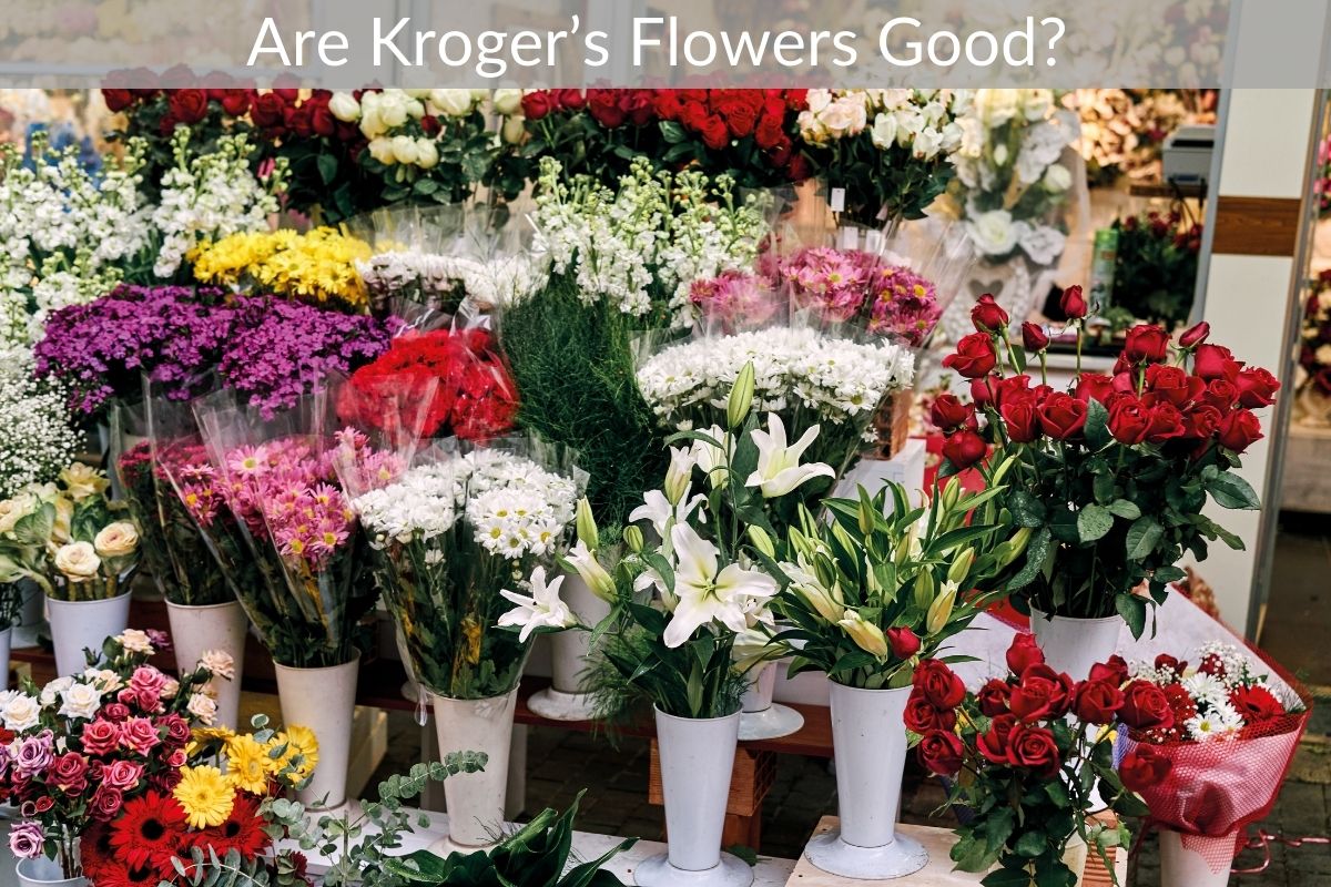 Are Kroger’s Flowers Good? 